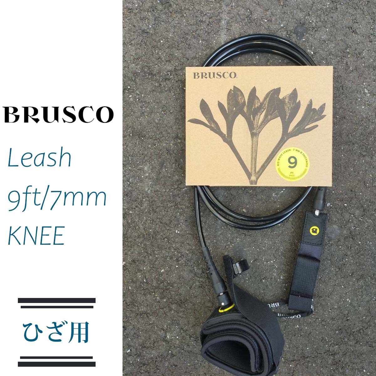 楽天市場】【1/9〜1/15エントリーでP10倍】BRUSCO ブラスコ リーシュ