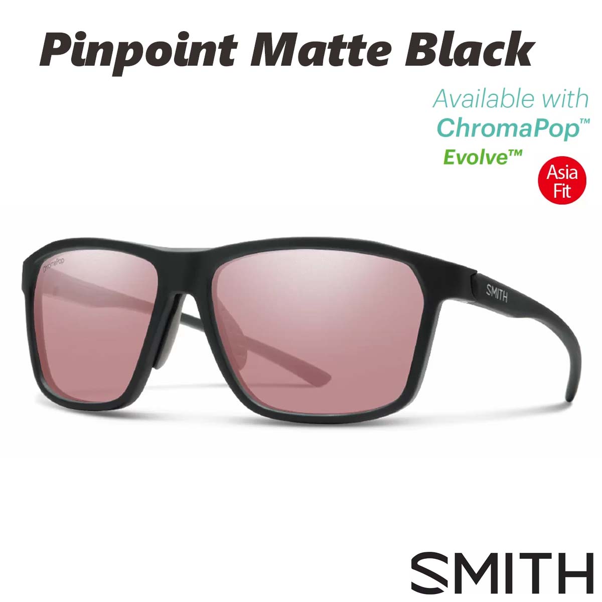 楽天市場】スミス SMITH 偏光サングラス ピンポイント マットブラック