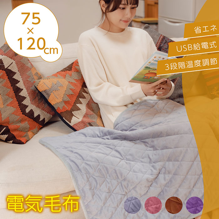 楽天市場】USB給電式 電気ひざかけ毛布 オフィスや車内、アウトドア