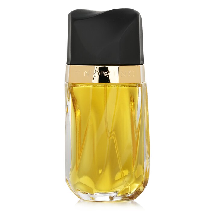 エスティ ローダー Estee Lauder ノィング オードパルファムスプレー 75ml/2.5oz【海外通販】