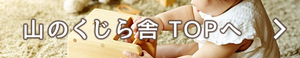 楽天市場】【木のおもちゃ 海パズル】 名入れ可能 送料無料 型