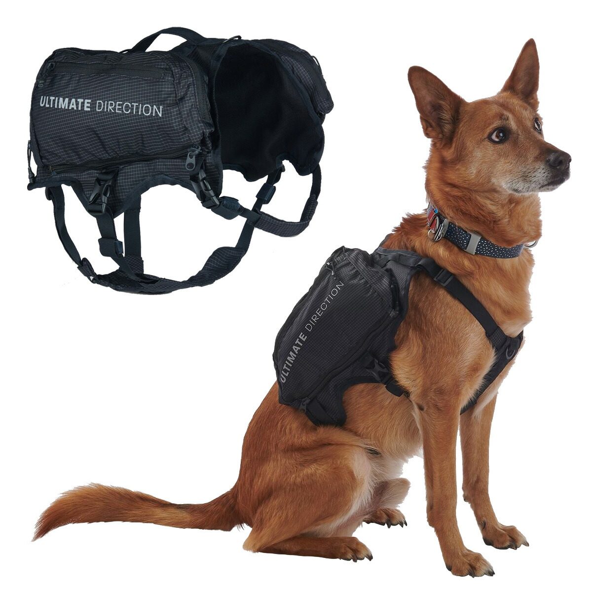 飼い犬 より良い [ULTIMATE DIRECTION アルティメイトディレクション] 犬用より良い