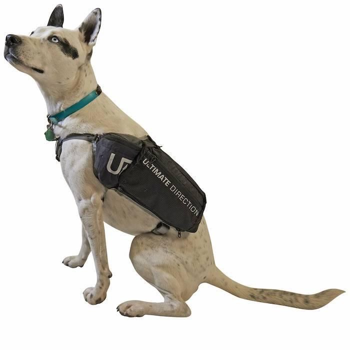 ULTIMATE DIRECTION DOG VEST(アルティメイトディレクション ドッグベスト)