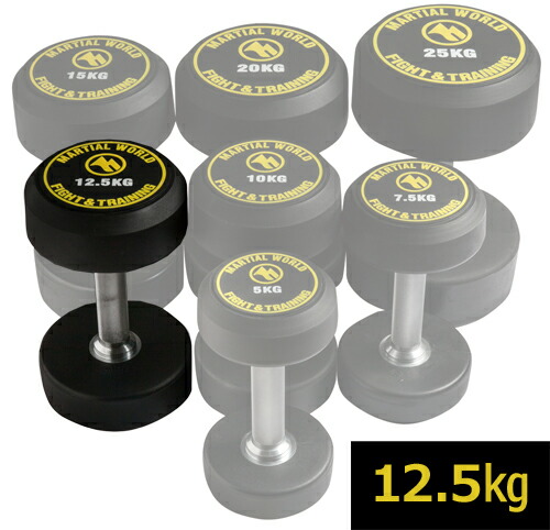 楽天市場】【6,930円→SALE6,380円〜12/11(木)01:59まで】ダンベル