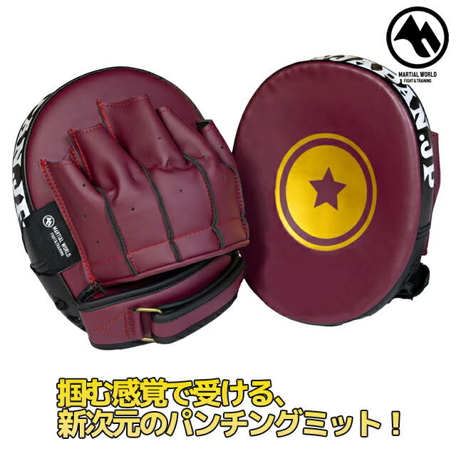 Fairtex パンチングミット 黒/白 Fairtex-FMV8 Pro Angular Focus Mitts