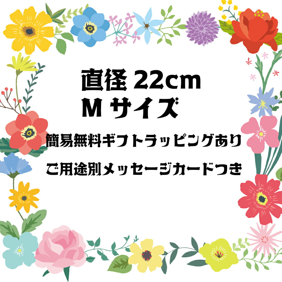 無料 ラッピング 送料無料 直径 22cm グリーン ユーカリ ホワイト アネモネ ベリー デイジー リース M アップル りんご ブルースター マーガレット 緑 白 造花 アーティフィシャルフラワー 玄関 壁飾り リース インテリア 母の日 プレゼント ギフト 誕生日 贈り物 春 夏