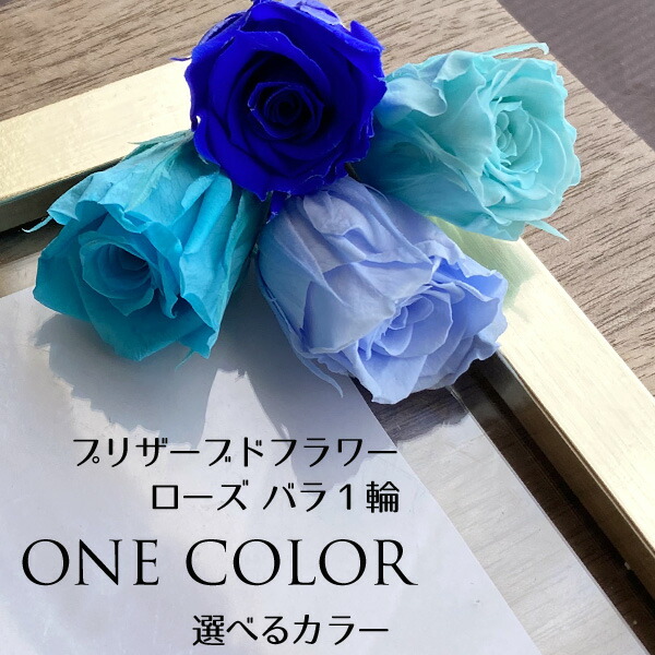 楽天市場】メール便(日本郵便)送料無料 プリザーブドフラワー