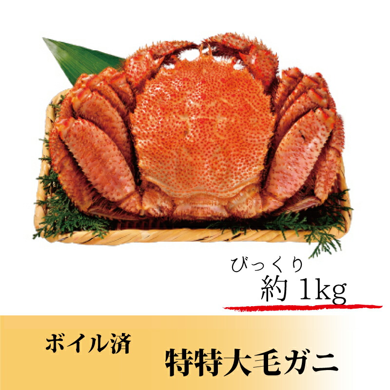 北海道からの贈り物！特特大毛ガニ　１キロサイズ,海の幸,山の幸,北海道の放送局がオススメする逸品,STVショッピング,札幌テレビ放送