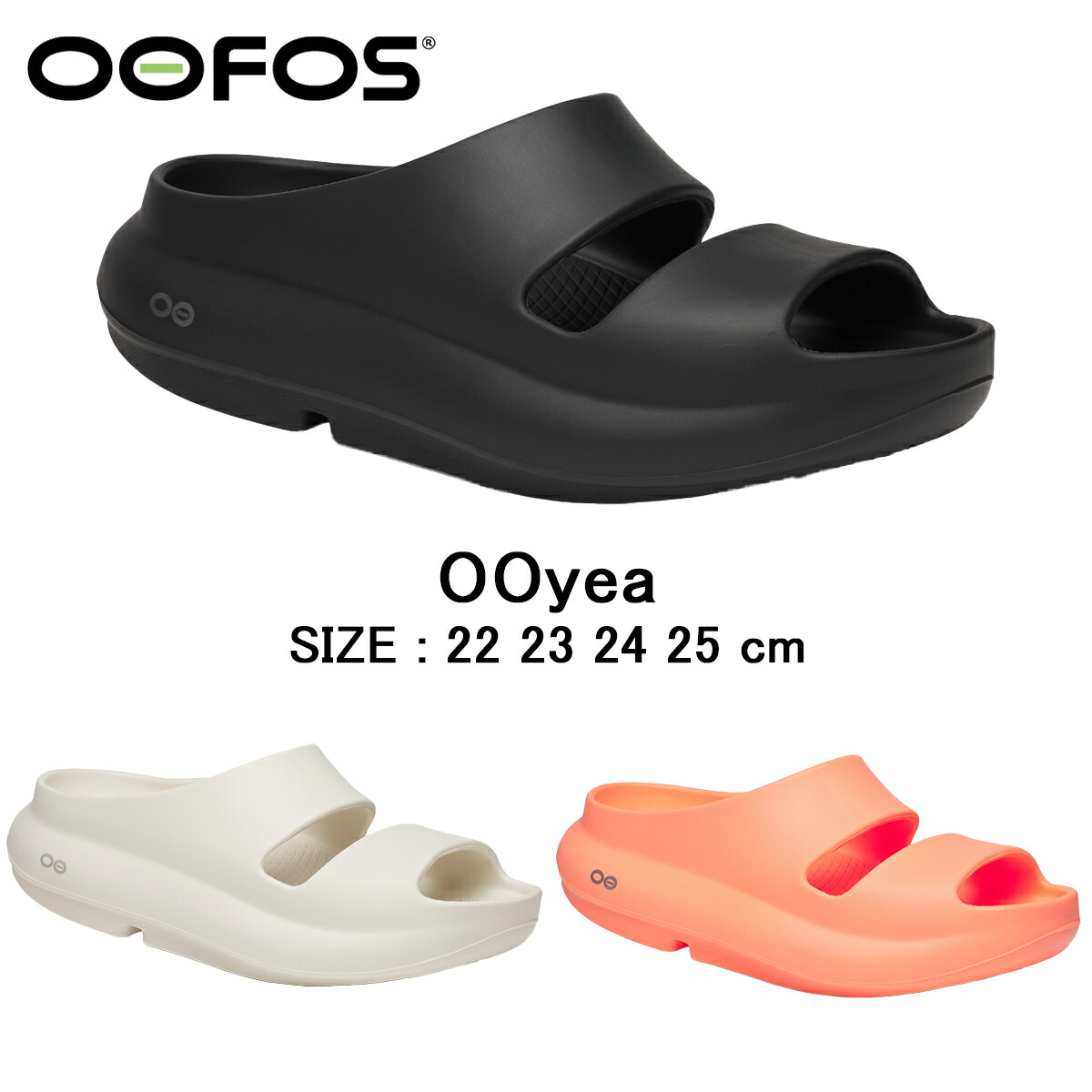 楽天市場】【完売】【正規品】ウーフォス ウーキャンドゥ