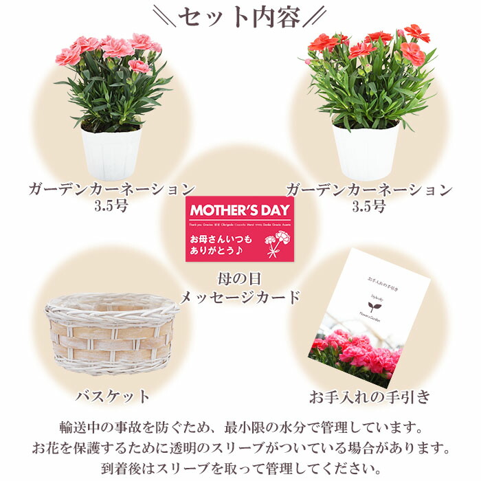 母の日 プレゼント ギフト 5月14日 鉢花 送料無料 沖縄・離島を除く 花・観葉植物 | antiguaboreal.com