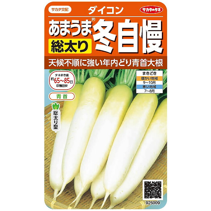 楽天市場】タカヤマ交配 四季まさり大根 四季蒔きタイプの大根品種です