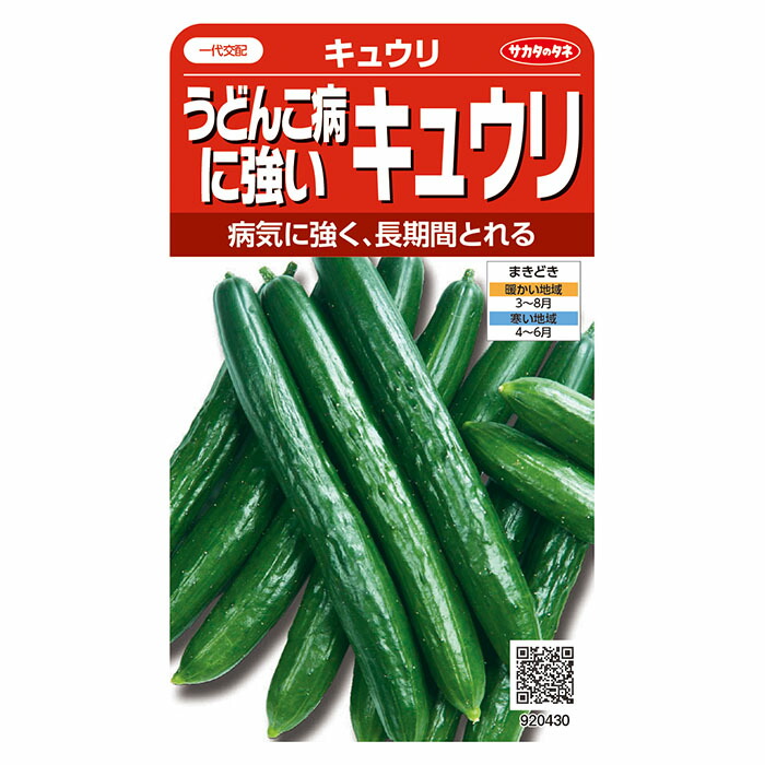 天然グリーン翡翠★エンドウマメ形★鑑別所付き★ソーテング付き 蛇紋岩 旅立ち 危機回避 ニュージェイド ブレス
