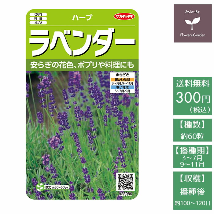 楽天市場 野菜の種 実咲ハーブ8086 ハーブ ラベンダー サカタのタネ Style1187 楽天市場 野菜の種 実咲ハーブ8086 ハーブ ラベンダー サカタのタネ Style1187