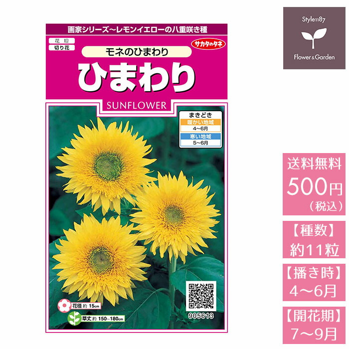 楽天市場 花の種 実咲花5613 ひまわりモネのひまわり サカタのタネ Style1187