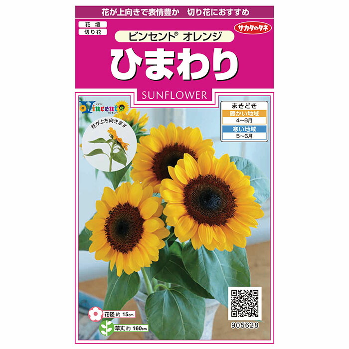 楽天市場】ひまわり種子 サカタのタネ 花の種 ビンセント