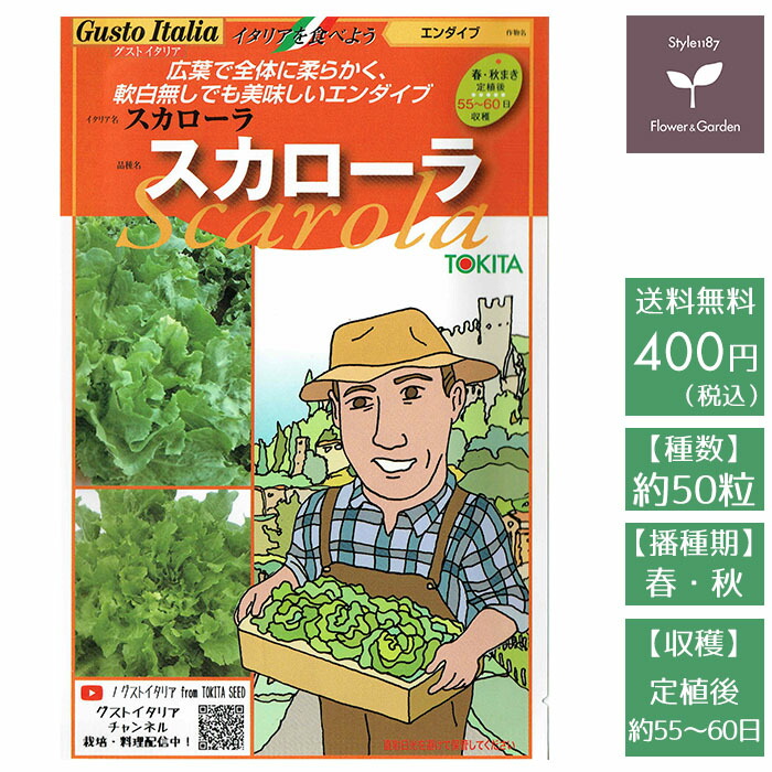 野菜のタネ ダ ヴィンチ カリフラワー イタリアの珍しい種を送料無料でお届け