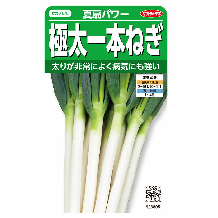 ネギの種　コート種子　6000粒×3袋　訳あり tane-283_001.jpg