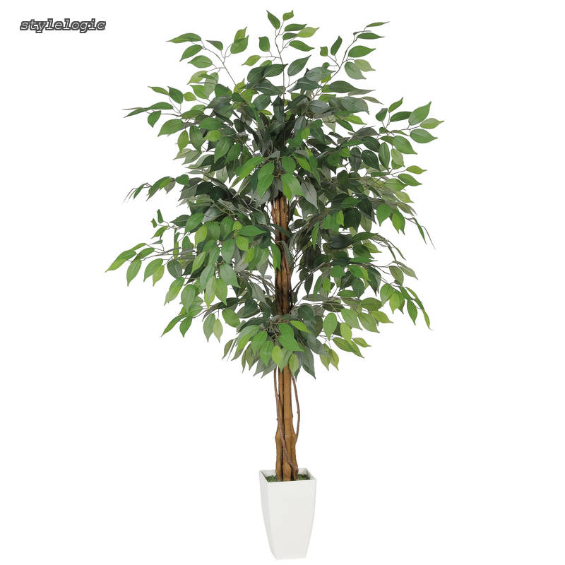 【送料無料】フェイクグリーン ガジュマルの木 多幸の木 大型 150cm 人工観葉植物 造花 光触媒 鉢付 お手入れ簡単 インテリアグリーン 風水 新築祝い 開店祝い プレゼント 室内 部屋 飾り|StyleLogic
