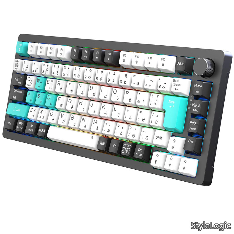 【貨物輸送無料】ガスケットゲーミングキーボード 有線 着脱式 カスタマイズ鍵盤 USB C/A両用 82足懸かり PBT足懸かり旗がしら 押下圧 40G ノッブ付き添い人 LEDうしろ側点火装置Mac/Windows