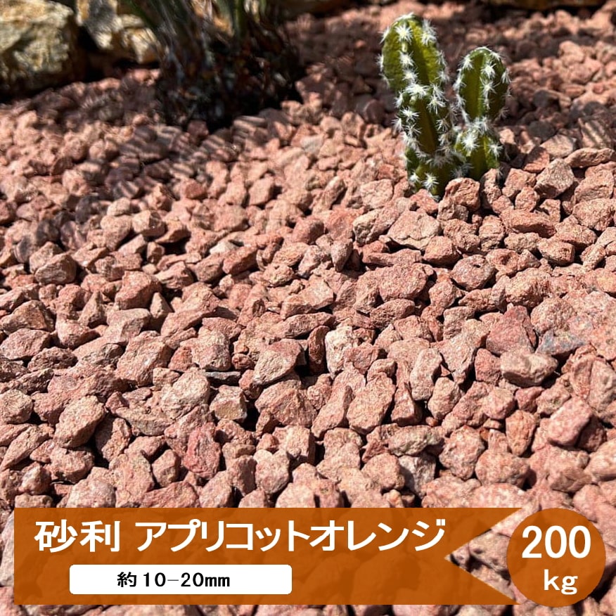 庭に置くだけ鋪石 一本調子