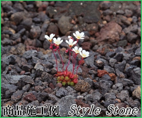 溶岩砂利ブラック溶岩砂利溶岩石砕石自然石約15 30mm花 ガーデン Diy 火山岩黒敷き砂利砂利黒い石大量100kg 黒色天然石メダカや熱帯魚水槽アクアリウム園芸庭ガーデニング溶岩砂利 溶岩砂利ブラック溶岩砂利溶岩石砕石自然石約15 30mm花 ガーデン Diy 火山岩黒敷き砂利砂利黒い石大量100kg 黒色天然石メダカや熱帯魚水槽アクアリウム園芸庭ガーデニング溶岩砂利