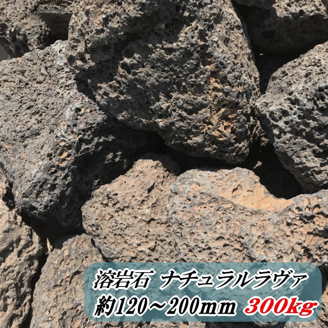 人気ブランド新作豊富 庭石 溶岩石 庭 石 ロックガーデン 火山岩 自然色 ナチュラルラヴァ 溶岩 300kg 販売 火山石 ロック ガーデニング 溶岩庭石 割栗石 岩 花壇 レイアウト 造園 ゴロタ石 自然石 和風 モダン ドライガーデン ガーデンロック 大きい 約1 0mm Fucoa Cl