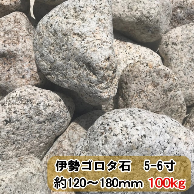 庭石 和風 庭 石 ゴロタ石 伊勢ゴロタ石 約1 180 5寸 6寸 100kg 大量 ガーデニング 日本庭園 花壇 花崗岩 御影石 グリ石 ぐり石 Srmdelhi Org