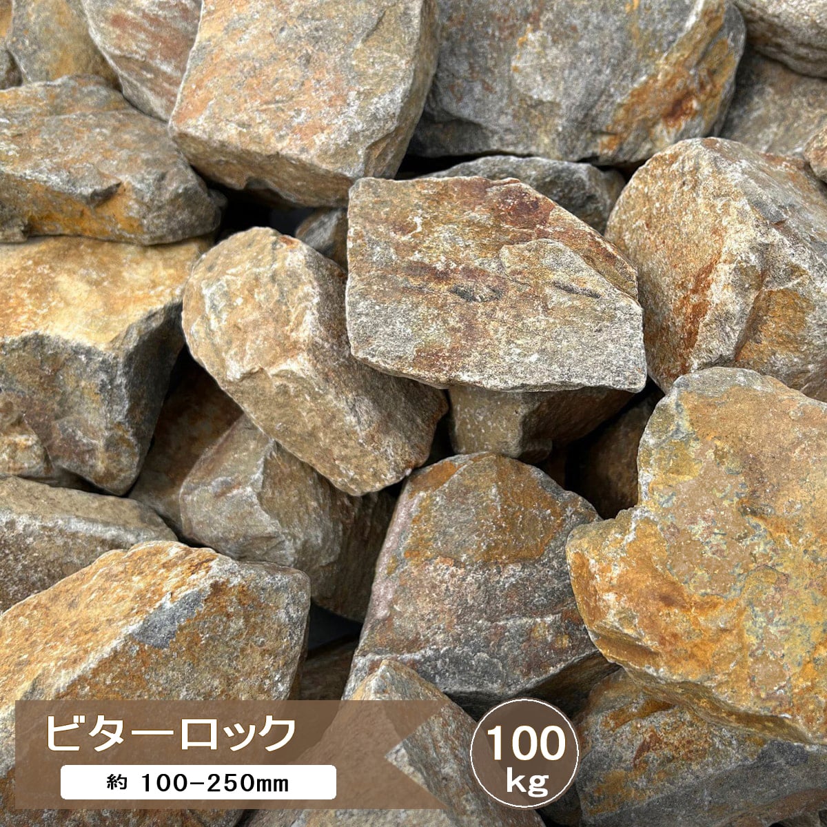 ss552g-100kg.jpg