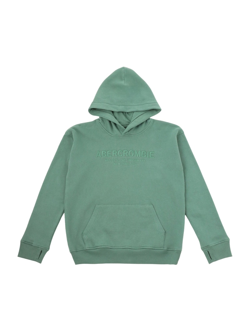 abercrombie kids 【110-170cm】 A&F(アバクロンビー&フィッチ) AFB VINTAGE PULLOVER HOODIE ルーキーキッズ トップス スウェット・トレーナー グリーン ブラウン【送料無料】