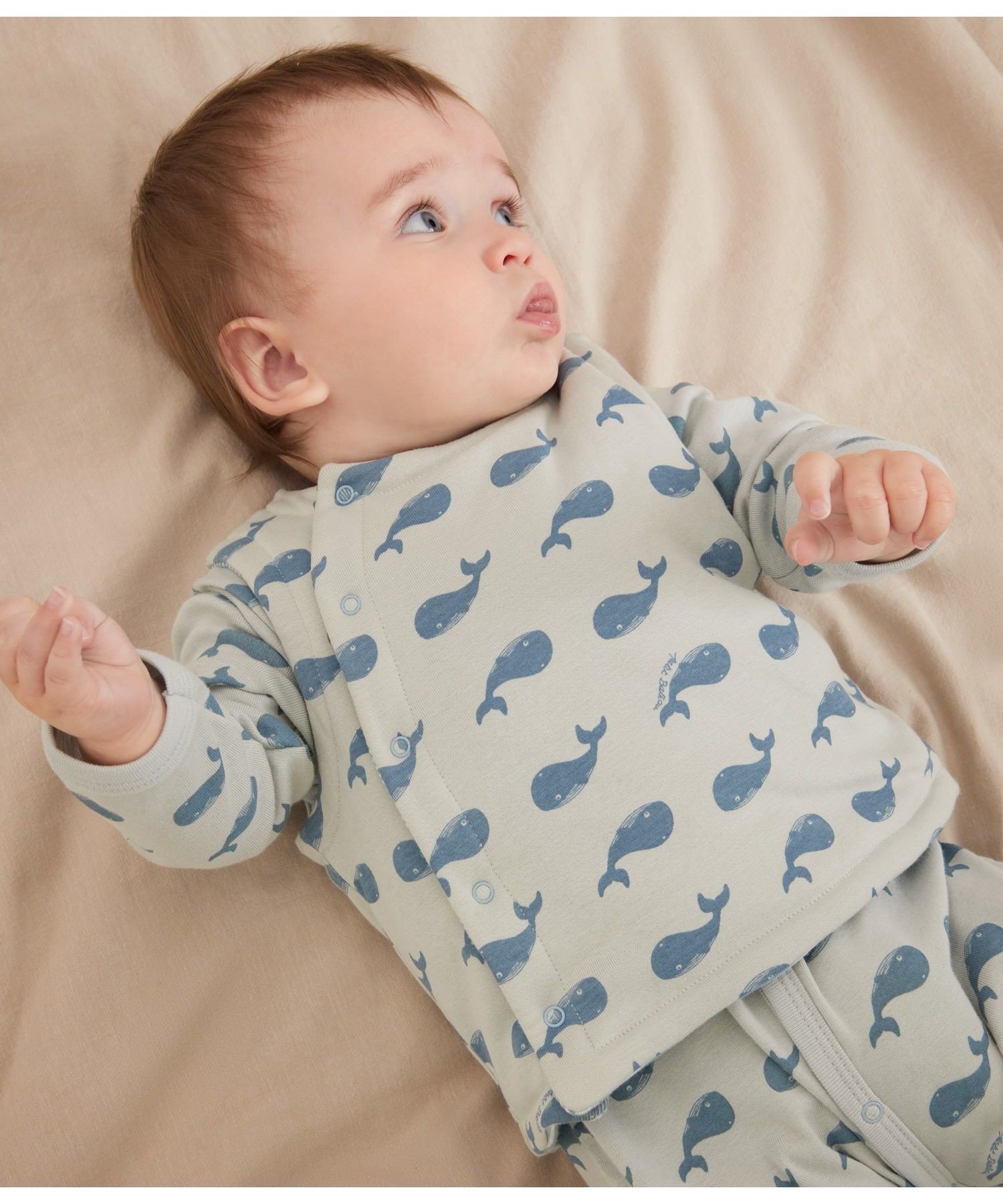 楽天市場】プリントベスト PETIT BATEAU プチバトー トップス ベスト