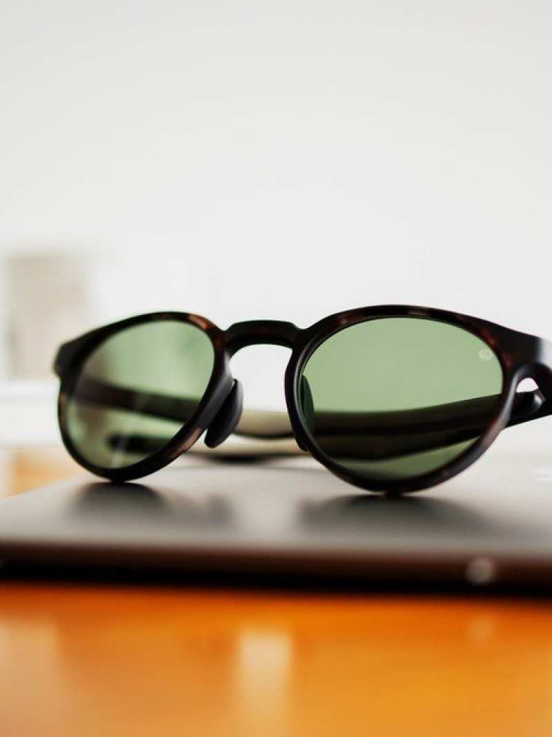 UNITED ARROWS ＜Eyevol(アイヴォル)＞ UASP BELLO R/サングラス