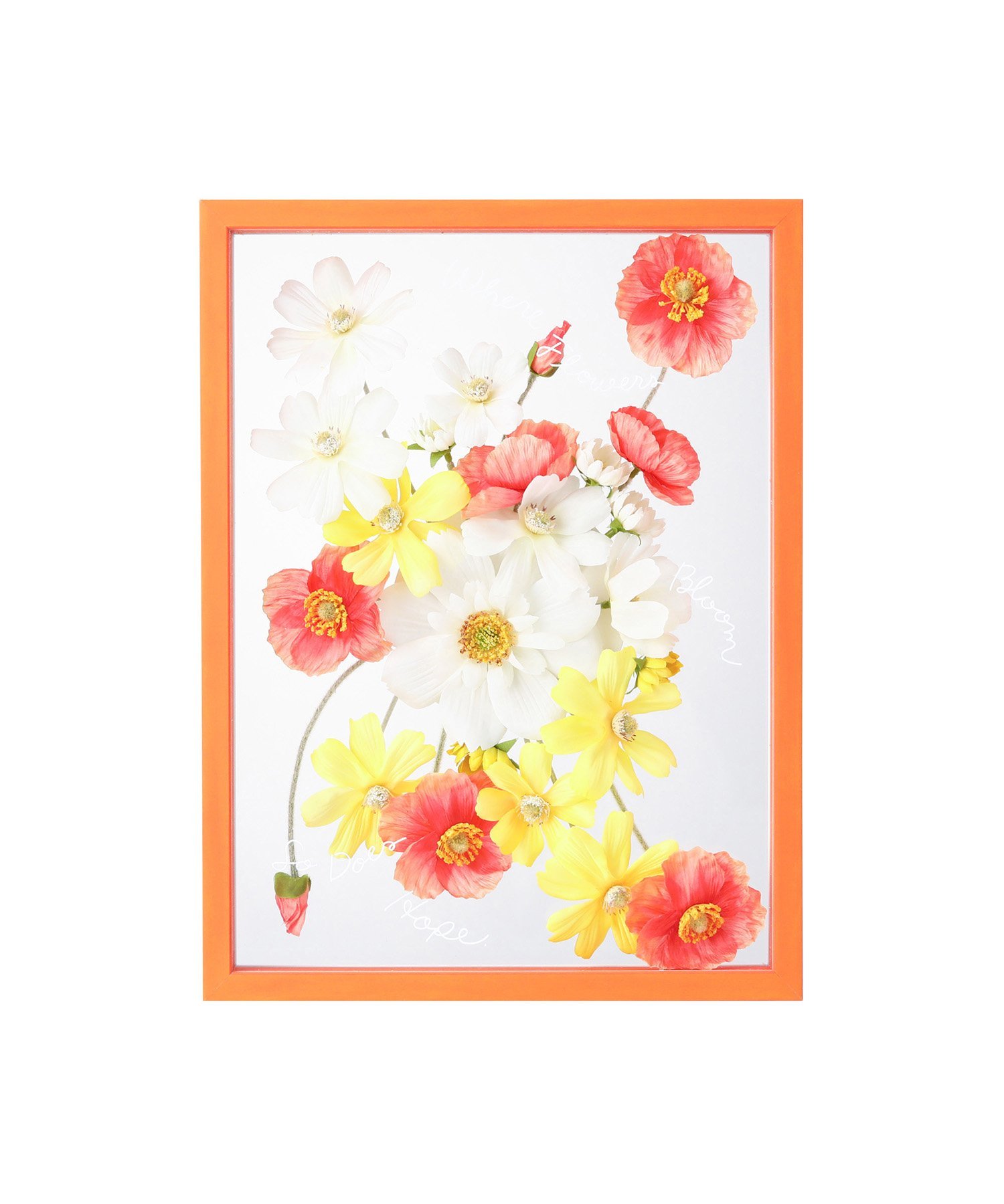 楽天市場】【SALE／50%OFF】Francfranc バイカラー アートボード