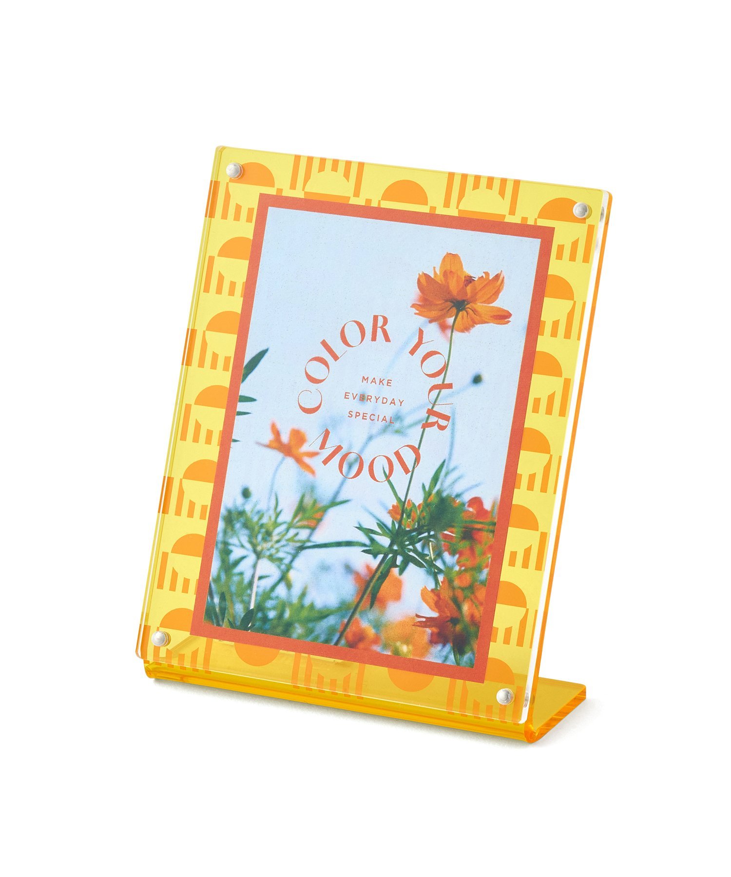 楽天市場】Francfranc カラフルアクリルフレーム 2面 フラン