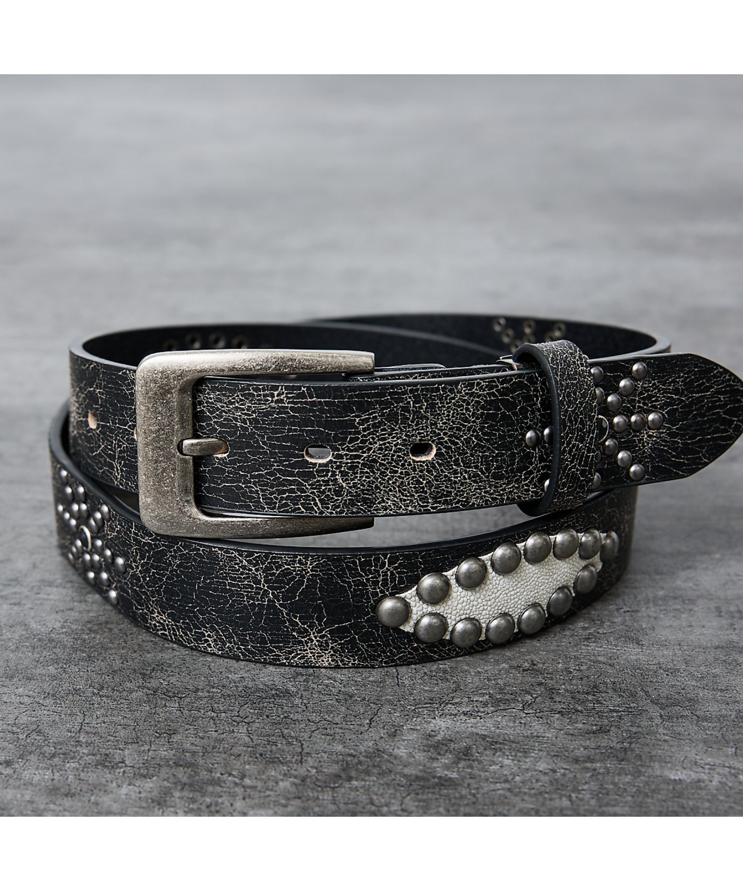 楽天市場】WOLFS HEAD ウルフズヘッド サイズ:34 スター サークル