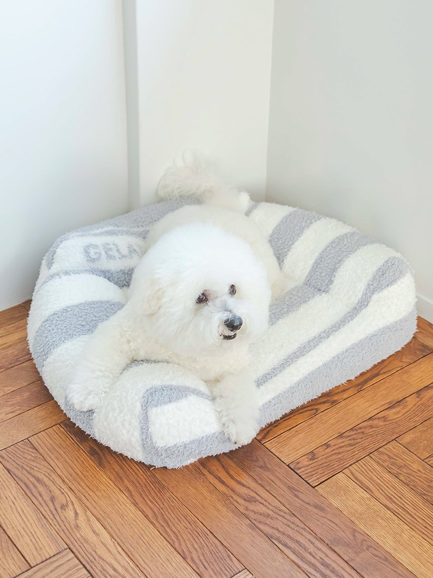 SALE／30%OFF】GELATO PIQUE CAT&DOG 【CAT&DOG】ジェラート