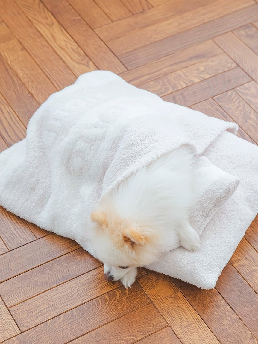 gelatopiqué ジェラピケ　ベビモコおふとんセット　ペット用布団 CAT&DOG】ベビモコおふとんセット(ベッド・ハウス)｜ルーム