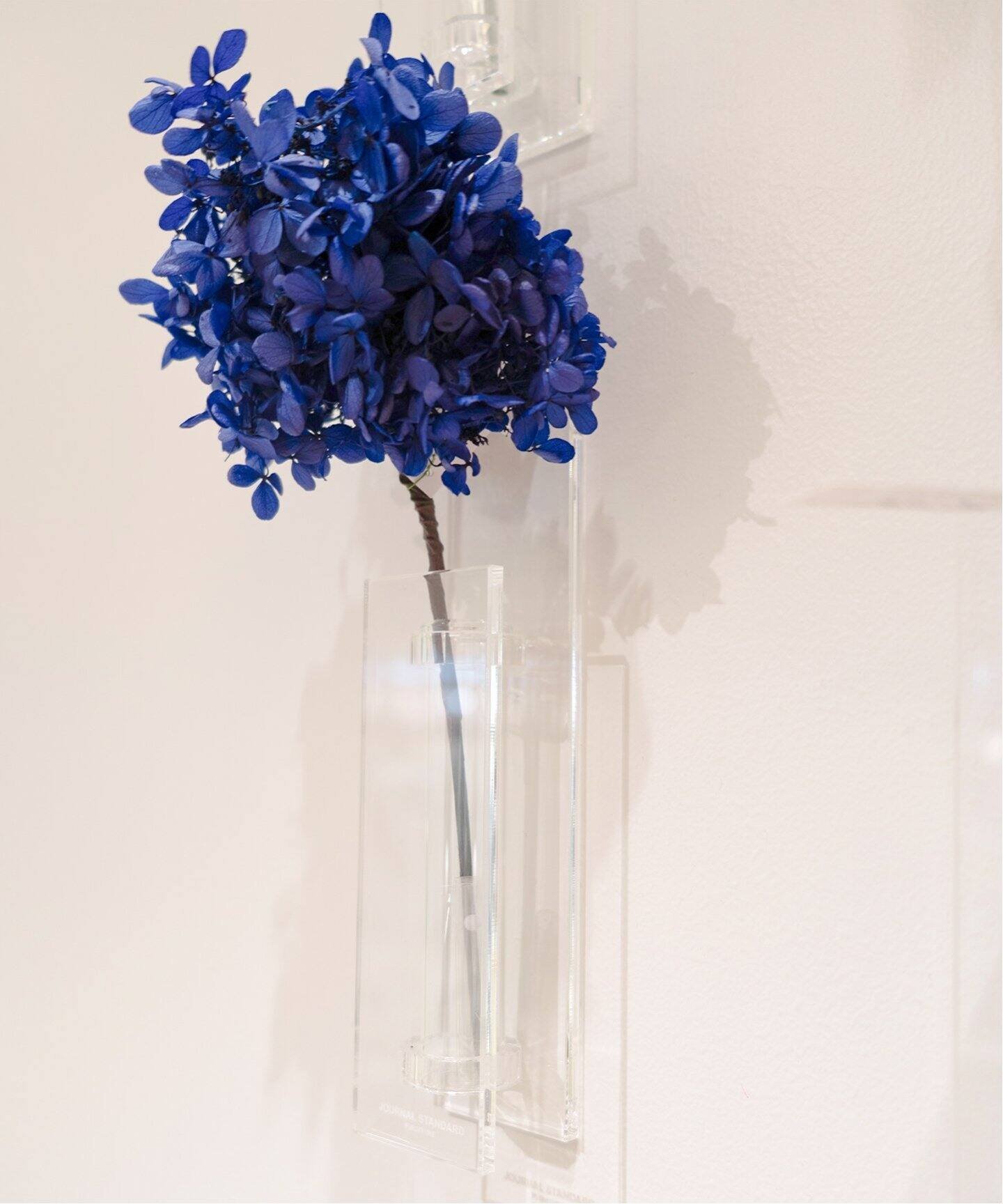 楽天市場】WALL FLOWER VASE 壁掛け フラワーベース JOURNAL STANDARD