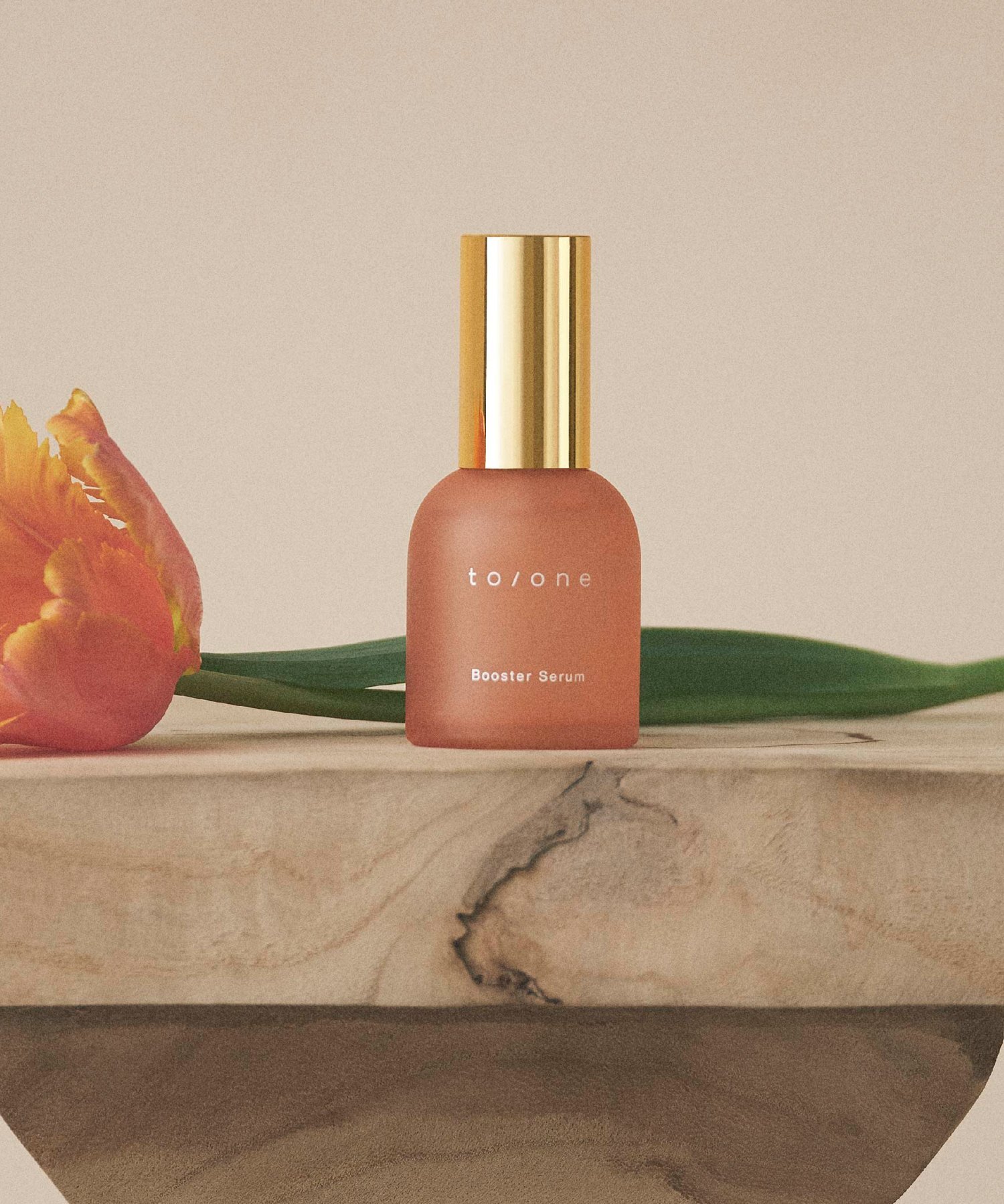 楽天市場】【to/one】ブースター セラム (M) | 美容液 美容オイル