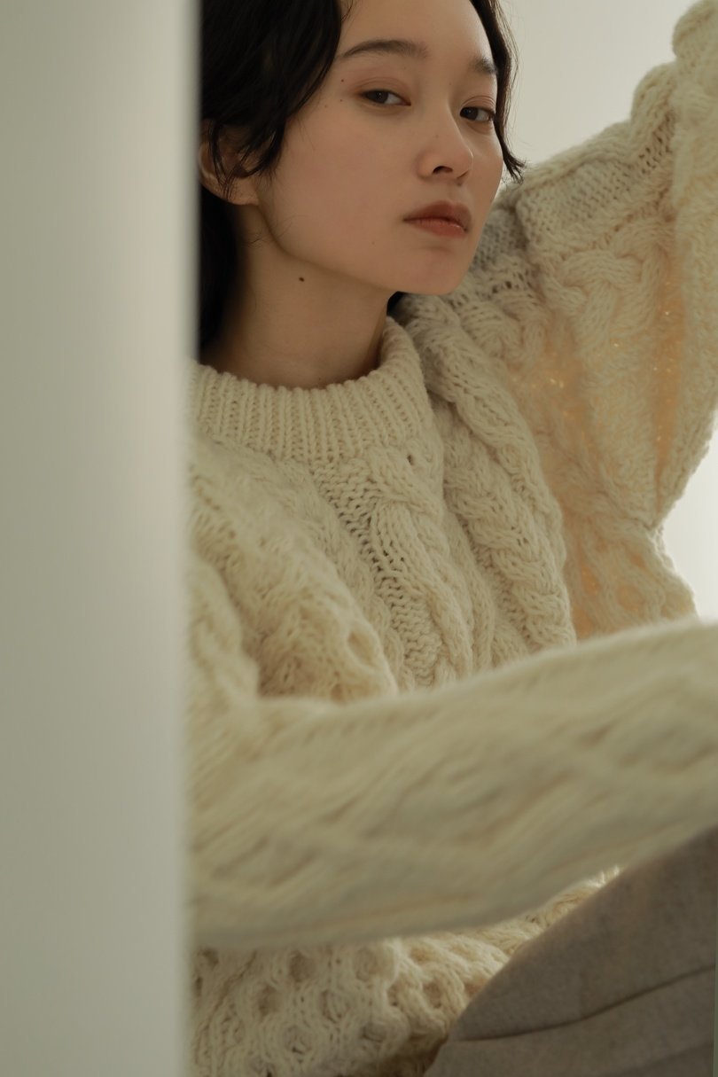 美品 カーサフライン アラン模様 パネルニット プルオーバー ブラウン F Amazon.co.jp: CASA FLINE アラン模様パネルニットプルオーバー