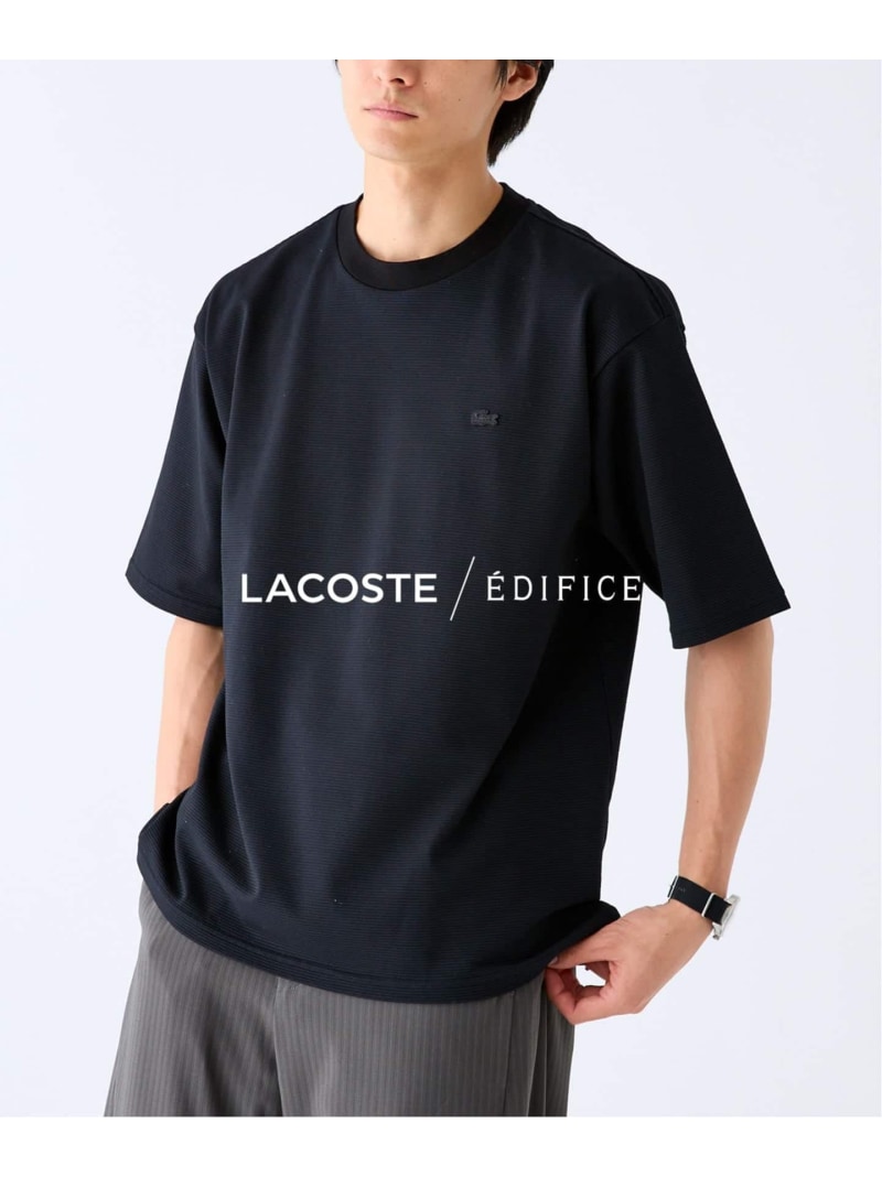 EDIFICE 《予約》LACOSTE(ラコステ) 別注 ニット Tシャツ エディフィス トップス カットソー・Tシャツ ホワイト グリーン ブラック【先行予約】*【送料無料】