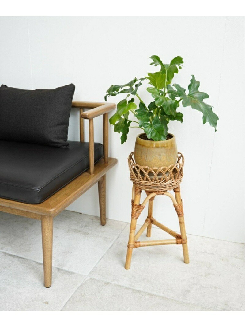 JOURNAL STANDARD FURNITURE 【Creer/クレエ】ラタンフラワースタンド S ジャーナルスタンダードファニチャー インテリア・生活雑貨 フラワーベース・花瓶【送料無料】