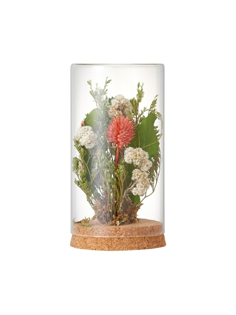 Francfranc ボトル ドライフラワー フランフラン ミックス