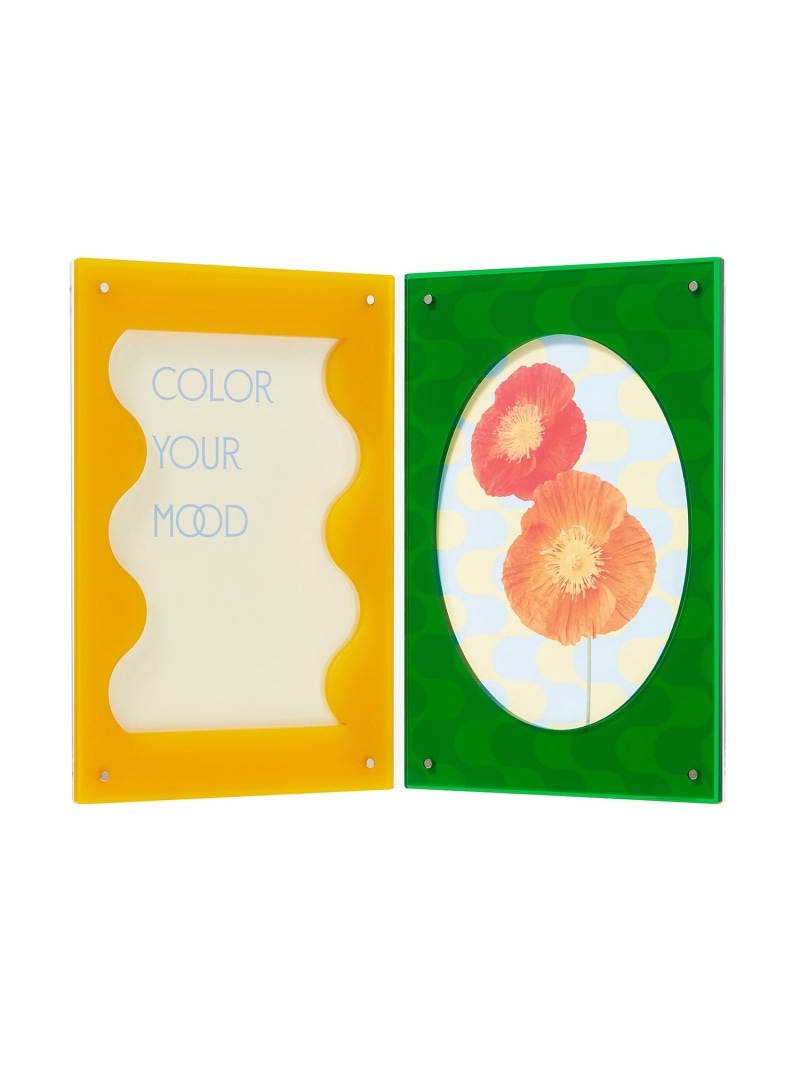 楽天市場】Francfranc カラフルアクリルフレーム 2面 フランフラン