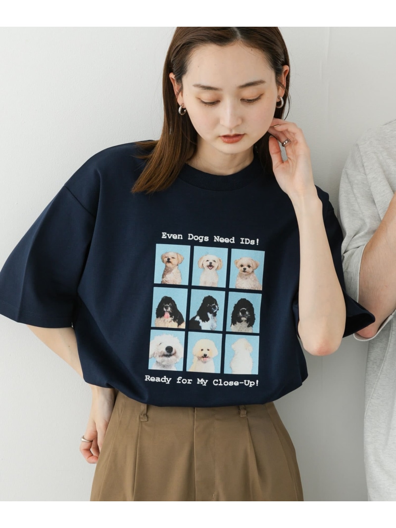 楽天市場】UNITED ARROWS 仙禽×UNITED ARROWS プリントTシャツ
