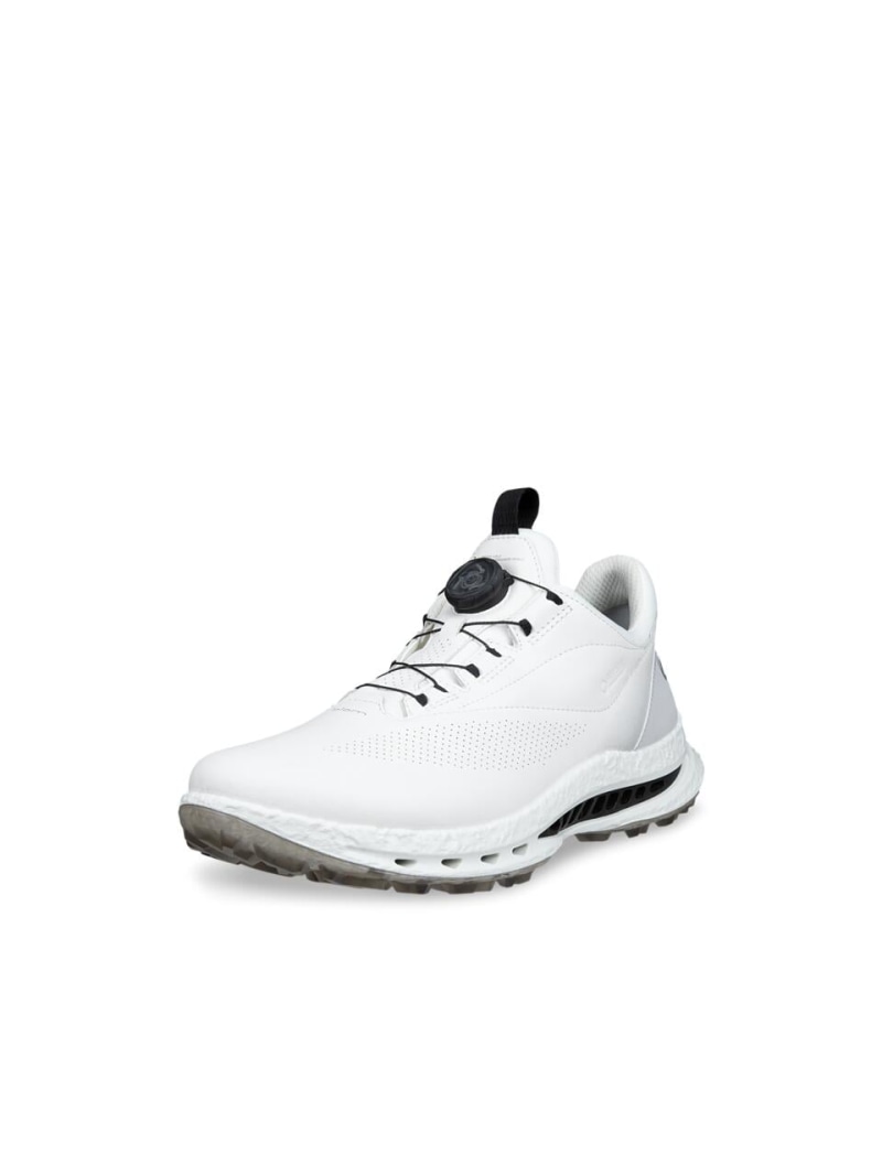 ECCO ECCO GOLF BIOM C5 メンズゴルフシューズ GORE-TEX防水 エコー シューズ・靴 スニーカー ホワイト【送料無料】