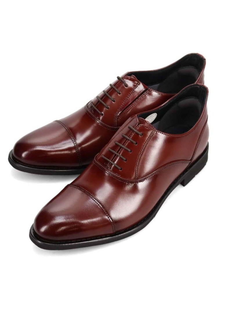 HIROKO KOSHINO HOMME HIROKO KOSHINO HOMME メンズ 内羽根ストレートチップビジネスシューズ マドラス シューズ・靴 レースアップ・ドレスシューズ ブラック ワインレッド【送料無料】