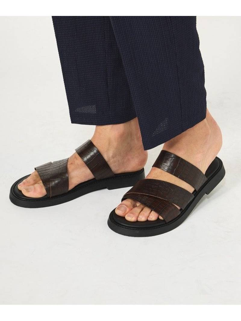 楽天市場】bibliotek ビブリオテック UNITED ARROWS ユナイテッド