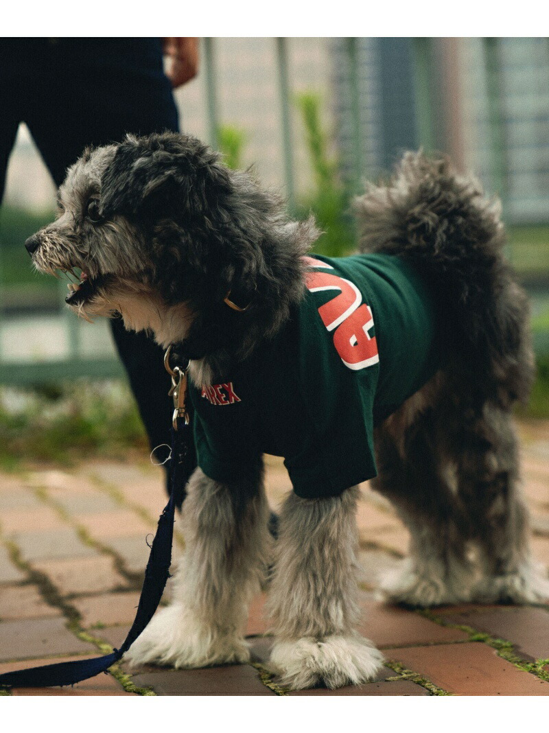 【楽天市場】【SALE／40OFF】AVIREX 《DOG WEAR/ドッグ ウェア》ビッグ ロゴ 5 Tシャツ アヴィレックス ペット用品