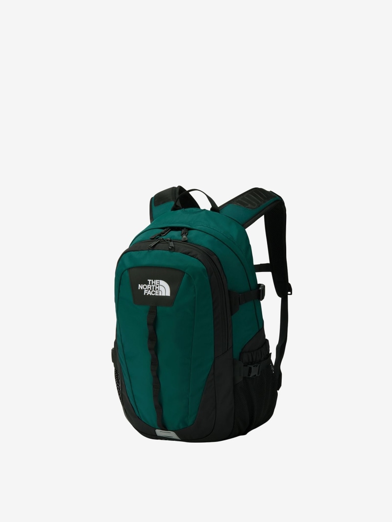 【SALE/30%OFF】THE NORTH FACE 【公式】ホットショット ザ・ノース・フェイス バッグ リュック・バックパック グリーン パープル ゴールド グレー【RBA_E】【送料無料】| Fashion Men