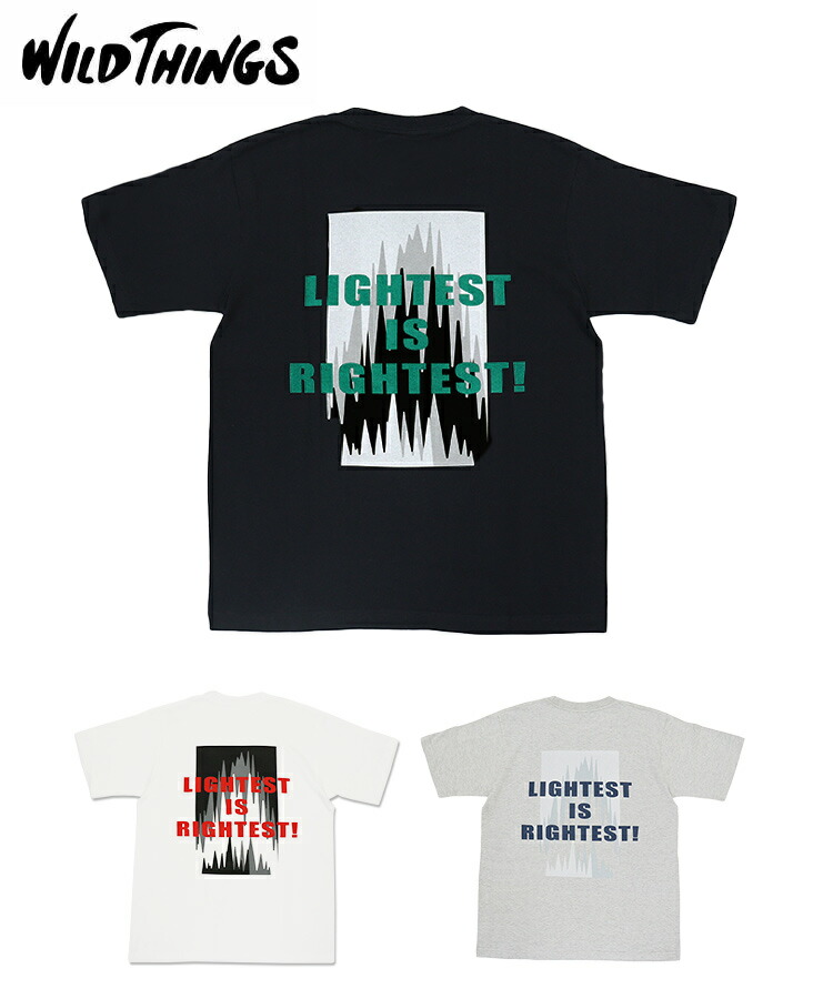 【対象商品40%OFFクーポン】WILD THINGS ワイルドシングス メンズ Tシャツ ICE WALL TEE アイスウォールティー WT25071K ブラック ホワイト グレー トップス 半袖 クルーネック プリント コットン ロゴ タウンユース アウトドア カジュアル